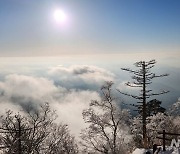 지리산에 펼쳐진 아름다운 설경