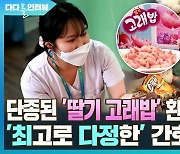 [다다를 인터뷰] 단종된 '딸기 고래밥' 환아에 선물한 '최고로 다정한' 간호사