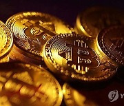 'ETF 승인' 가짜뉴스에 비트코인 '출렁'…"15분간 업계 들떠"