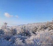 눈 내린 지리산