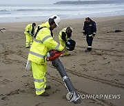 SPAIN ENVIRONMENTAL POLLUTION