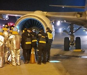 티웨이항공 여객기, 인천공항 착륙 중 조류 충돌