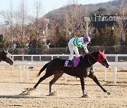 [경마] 갑진(甲辰)년 경마 포문을 열다. 서울경마 첫 경주 '새해맞이 기념경주'우승의 주인공들