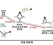 기체 상태 '이온' 찰나의 움직임, 실시간 관찰 성공