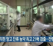 [간추린 소식] 필리핀 망고 잔류 농약 최고 21배 검출…전량 회수 외