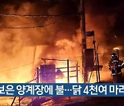 [간추린 단신] 보은 양계장에 불…닭 4천여 마리 폐사 외