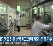 필리핀 망고 잔류 농약 최고 21배 검출…전량 회수