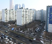 [사설] 1·10 부동산대책은 시장 개혁과 같이 가야