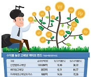 K배당주 깔고 앉으니…기술주 안부럽네