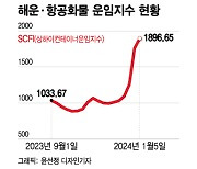 '홍해 사태'에 해운운임 폭등했는데 항공운임은 하락…왜?