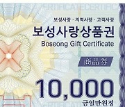 보성사랑상품권 10% 할인판매…월 구매한도 70만원