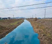 "농업용수로 쓰는데…" 파랗게 변한 평택 관리천, 주민 한숨 [르포]