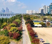 용산구, 관광 활성화 5개년 계획 수립…'서울관광 출발점'