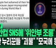 [영상] 선을 넘어 뇌가 일탈했네?  "일본이 한국 여성을 임신 시켜" 위안부 피해자 조롱 댓글에 분노한 누리꾼들 상황