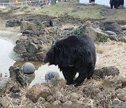 “일곰이·달곰이·반달이·웅이 만나요”