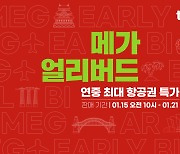 "연중 최대 특가"…티웨이항공, 15일부터 '메가 얼리버드'