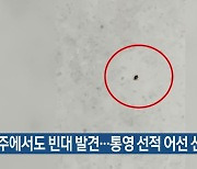 제주에서도 빈대 발견…통영 선적 어선 신고