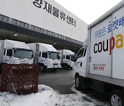 Coupang resumes partnership with LG H&H