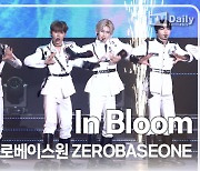 [TD영상] 제로베이스원, 등장에 치이고 의상에 한 번 더 치입니다... 'In Bloom' 무대