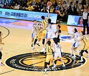 여자농구 정규리그 13일 재개…KB vs 우리은행 14일 맞대결