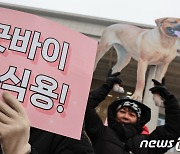 동물단체 "개식용금지법 환영하지만…아직 넘어야 할 산 많다"