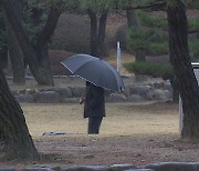 내일 광주·전남 겨울비..낮 최고 15도 '포근'