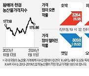 한파 풀리자…깻잎·양상추값 급등세 꺾여