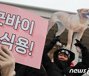 동물보호단체 "개 식용 금지법 환영하지만 아직 부족하다"