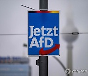 '이민자 대량 추방 논의' 독일 극우정당 AfD 해산 여론