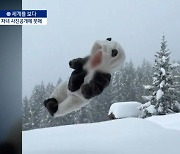 [세계를 보다]조회수에 눈먼 부모들…‘자녀 상처’ 셰어런팅