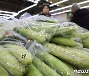 치솟는 '체감물가'…오이는 41.4%↑