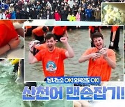 “산천어축제 살생·동물학대”…“그렇다면 배추도 보호하라”