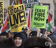 Israel Palestinians Protest