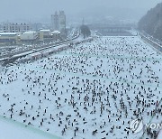 눈 내리는 산천어축제장