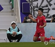 Qatar Japan Vietnam Asian Cup Soccer