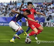 Qatar Japan Vietnam Asian Cup Soccer