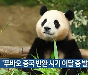 “푸바오 중국 반환 시기 이달 중 발표”