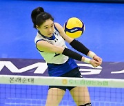 김연견에 응답한 수원 배구팬….승리로 보답한 현대건설