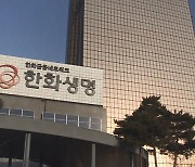 대형 보험사들, 보험계약대출 가산금리 줄줄이 인하한다