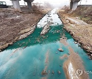 평택 하천 '비취색' 오염수 최대 7만t…"방제 비용 최대 1천억"