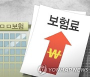 車보험 네·카·토서 비교하라고?… 수수료 탓에 보험료는 더 비싸져