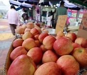 설 연휴 농축산물 최대 60% 할인…신용카드 12개월 무이자 할부 가능 [설 민생안정대책]