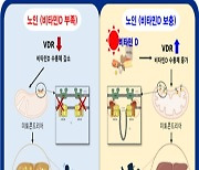 국립보건연구원, 비타민D의 ‘비알콜성지방간 억제 기전’ 세계 최초 규명