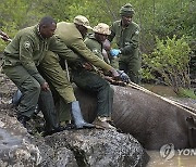 APTOPIX Kenya Relocating Rhinos