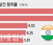 ‘이제는 인도’…인도ETF로 향하는 투심