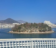 여수시, 장군도 섬 숲 백화현상 피해대응 나서