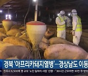 경북 ‘아프리카돼지열병’…경상남도 이동 통제