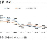 경과조치 적용에 한숨 돌린 보험사들…MG손보는 여전히 미달