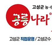 설맞이 공룡나라쇼핑몰 다드림 행사 [고성소식]