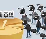 “언젠간 오른다” 서학개미 기도메타…날개없는 추락 ‘이 종목’ 베팅